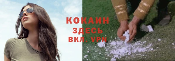 крисы Ростов
