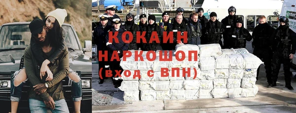 крисы Ростов
