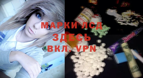 крисы Ростов