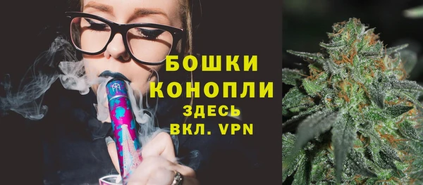 крисы Ростов