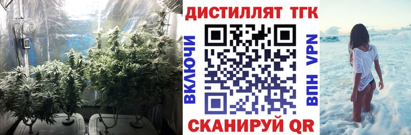 даркнет телеграм  Сосногорск  Дистиллят ТГК жижа  KRAKEN ТОР 